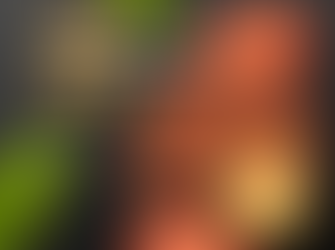 What Did the Ancient Egyptians Eat? A historical food guide for ages 8+