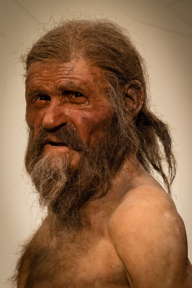 Stone Age Food A Brief Guide for Kids