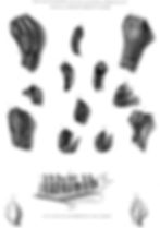 Illustration of Iguanodon fossil teeth from Sussex. Various tooth specimens are sketched with detailed lines, labeled with numbers and letters.