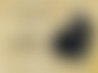 10 Fun Facts You Need To Know About Viking Warriors - A List for KS2