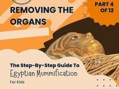 Removing The Organs - A Step-By-Step Guide To Egyptian Mummification For Kids - Part 4 of 12