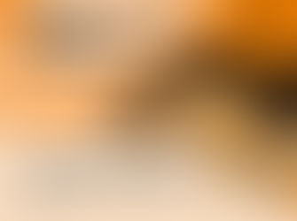 Removing The Organs - A Step-By-Step Guide To Egyptian Mummification For Kids - Part 4 of 12