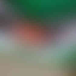 A person's hands pull open a tomato showing the pulp inside.