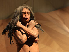 Stone Age Humans - A Quick Guide for KS2 Students