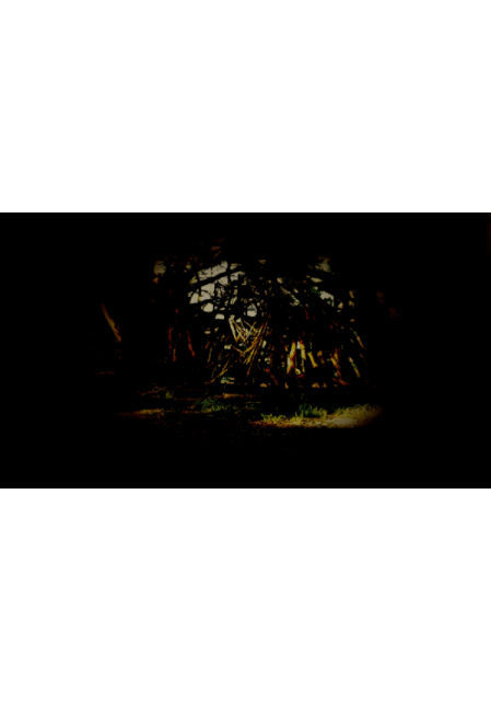 20201128_160502.gif