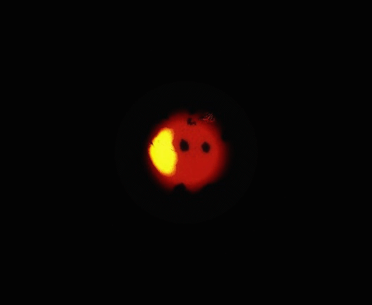 20210104_224348.gif