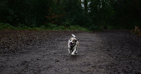 DSC_7646_edited.jpg