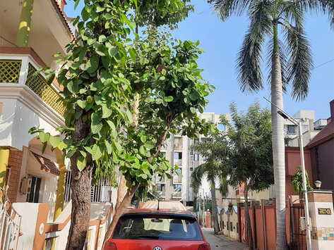 Changing Perspectives