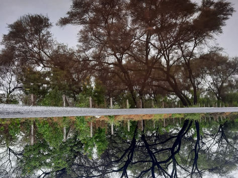 Awakening 5 Senses with 5 Principles of Design