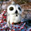 Thumbnail: Snowy Owl Felted Birdhouse
