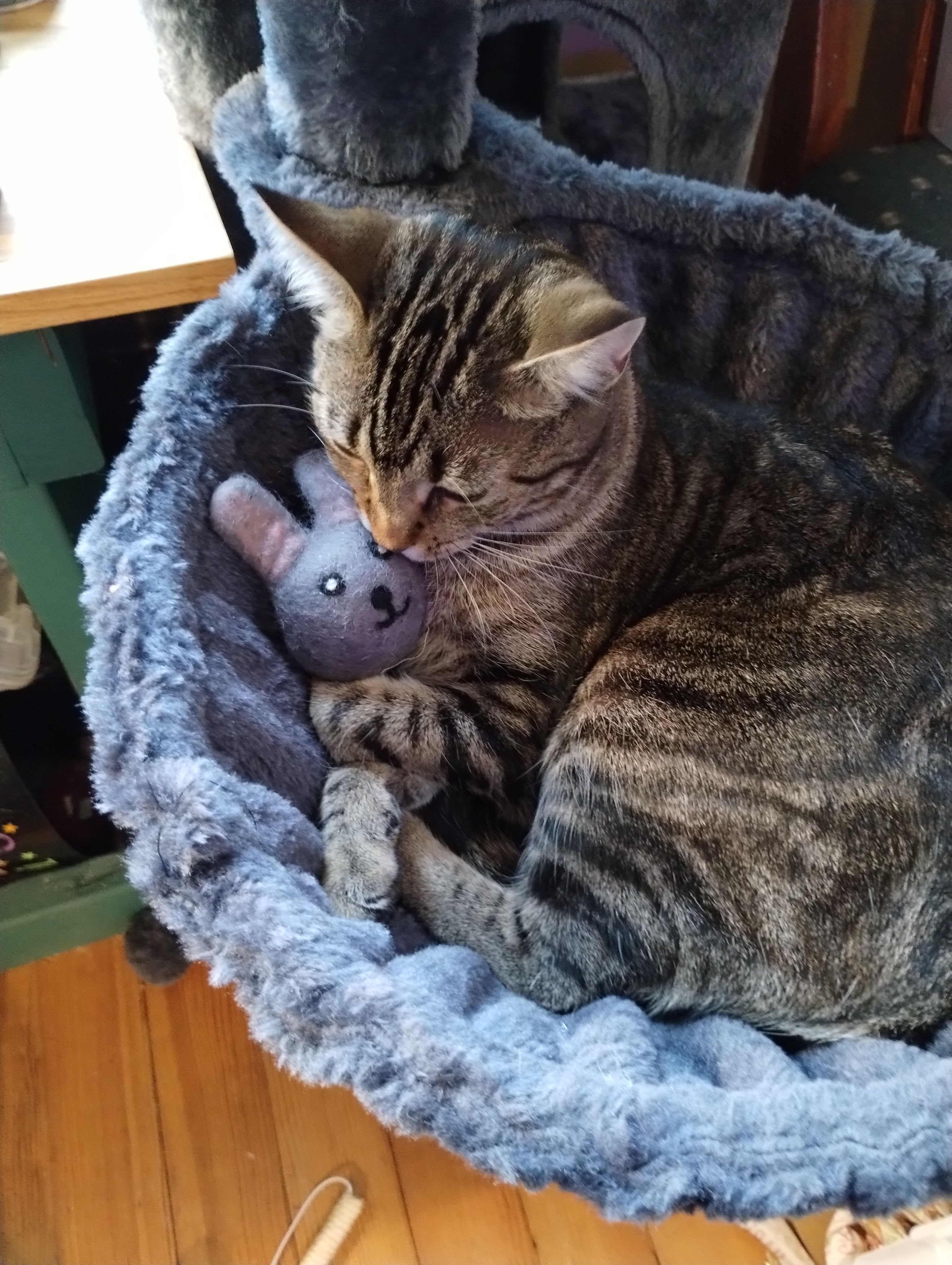 Bernie the Bunny Eco Pet Toy