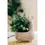 Thumbnail: Llama Terracotta Planter