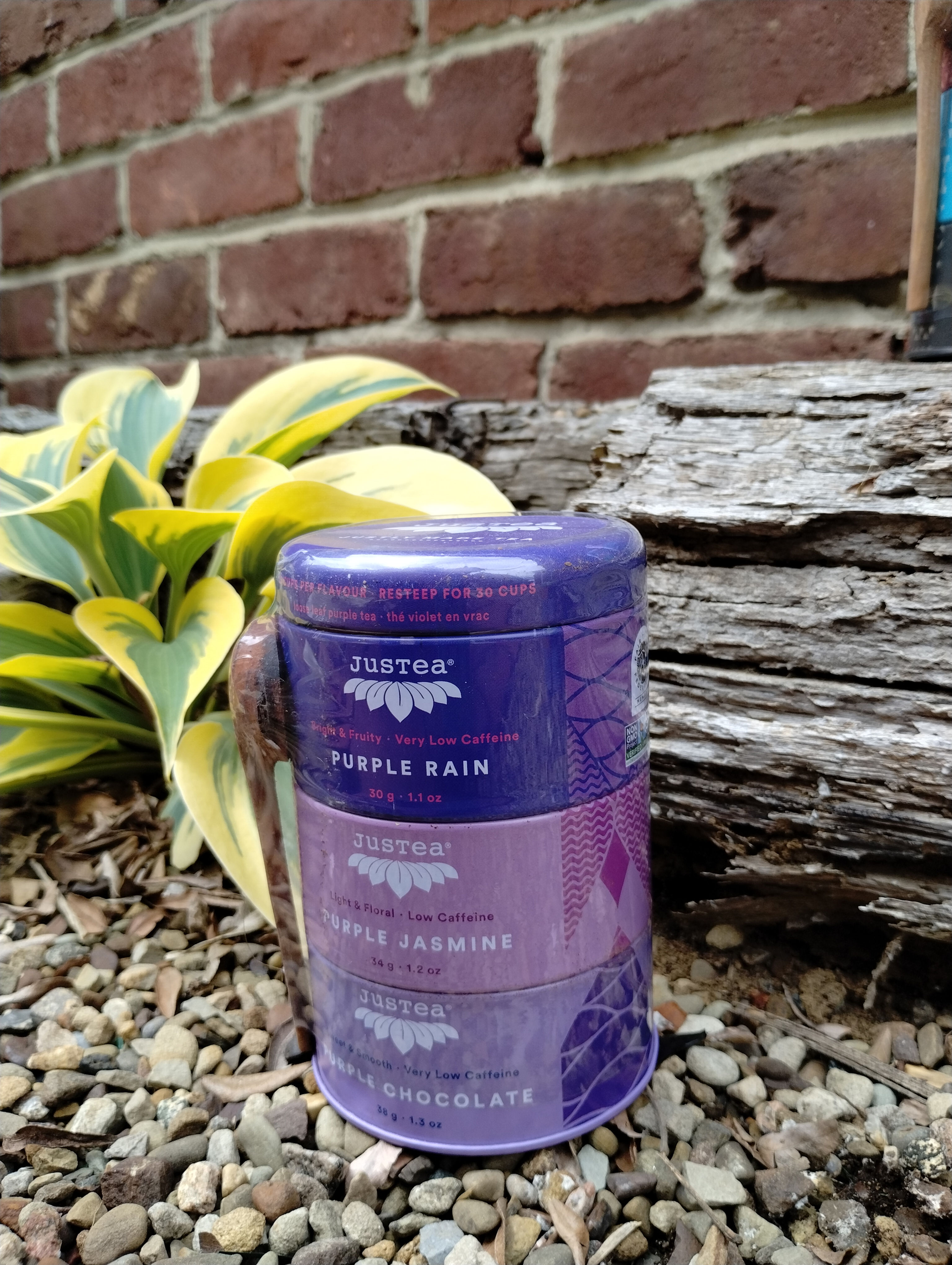 Purple Tea Trio Tin with Spoon