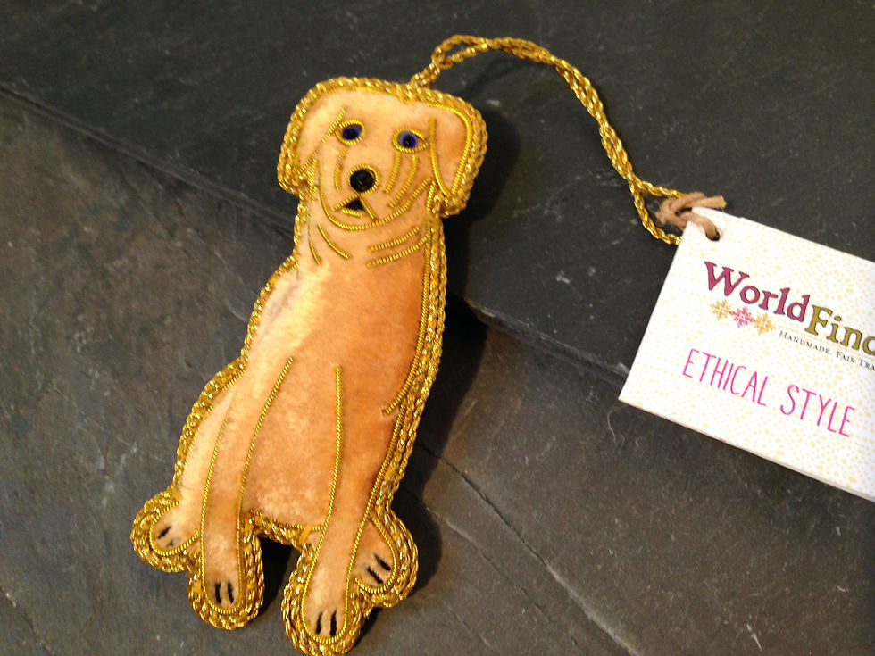 Thumbnail: Furry, Feathery, & Finny Friends Ornaments