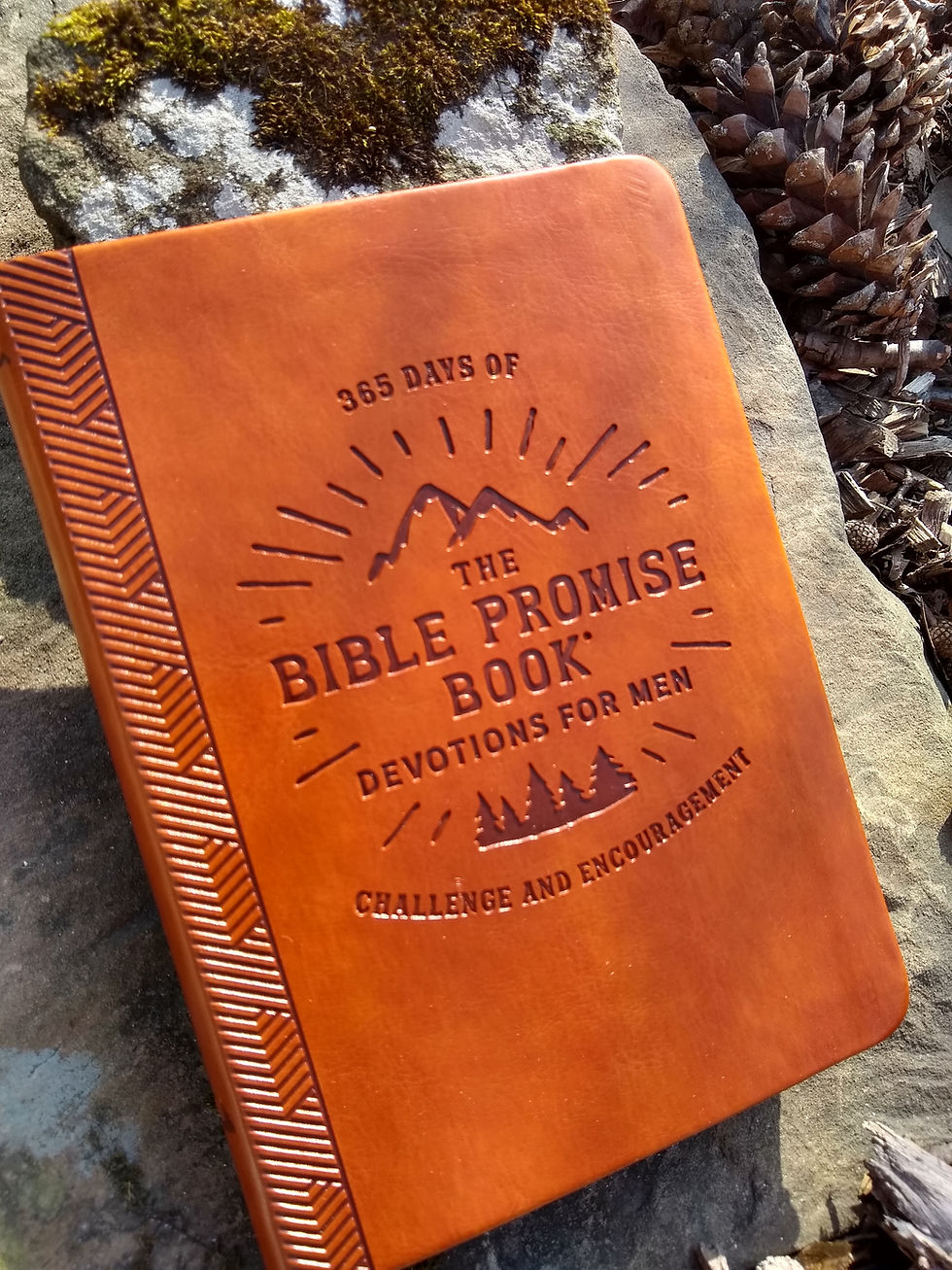 Thumbnail: Bible Promise Book for Men + Leather & Cedar Candle