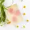 Thumbnail: Lavender Glycerin Soap