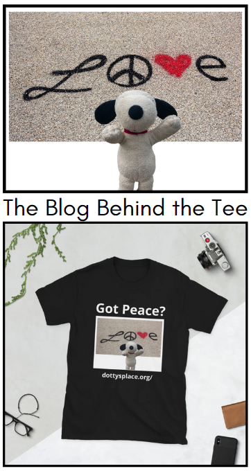 T-shirt the goes with blog. Stuffed animal with the word love behind it.