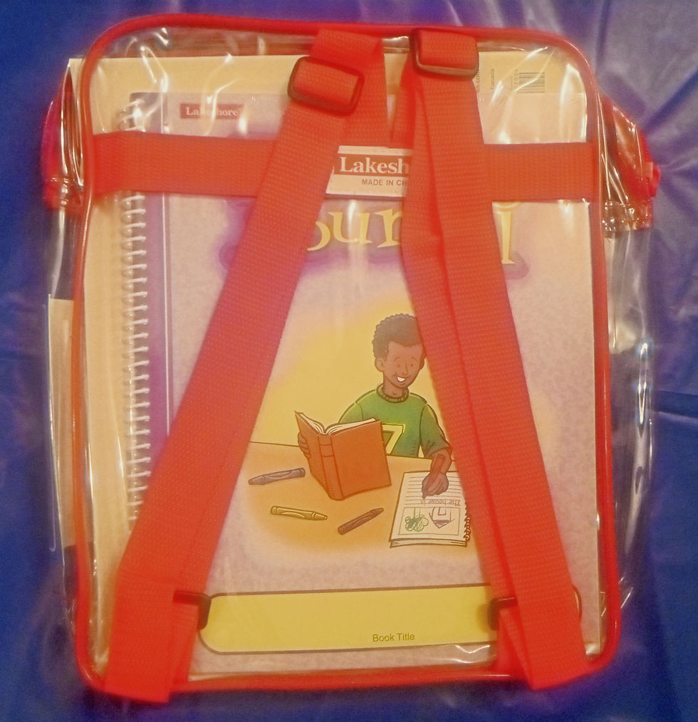 Book and activity materials from The Gardener literacy pack.