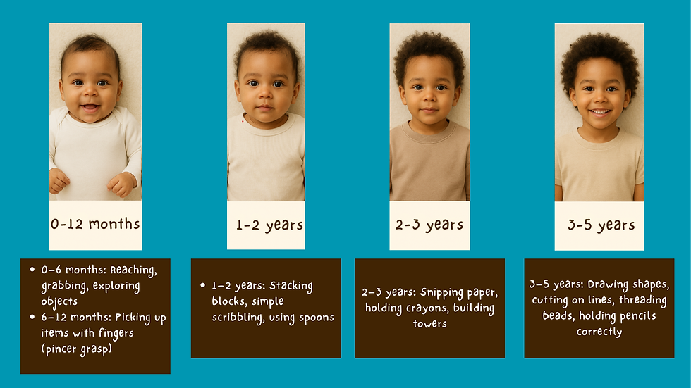 Child shown from ages 0-5, along with fine motor milestones