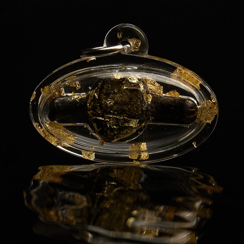 คตสาริกาหลงรัง