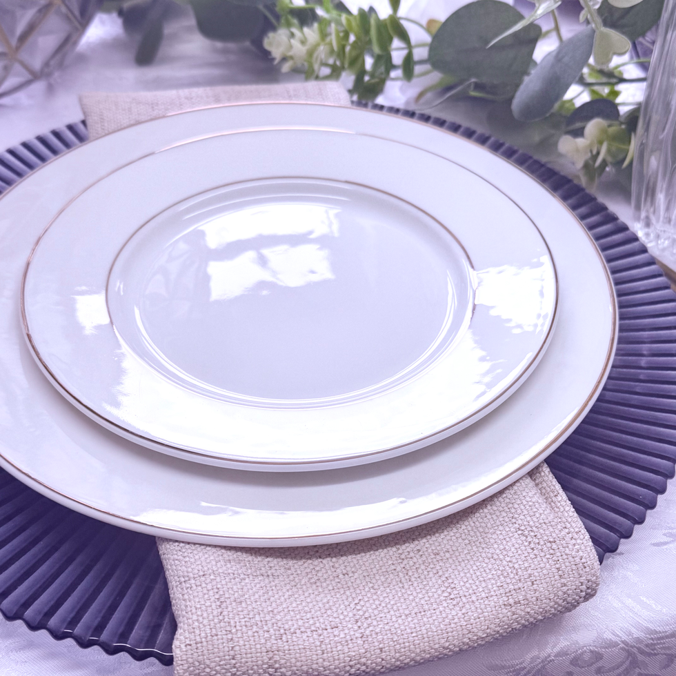 Elegant white plates and napkin on a stylish place setting Admire's Furnishings