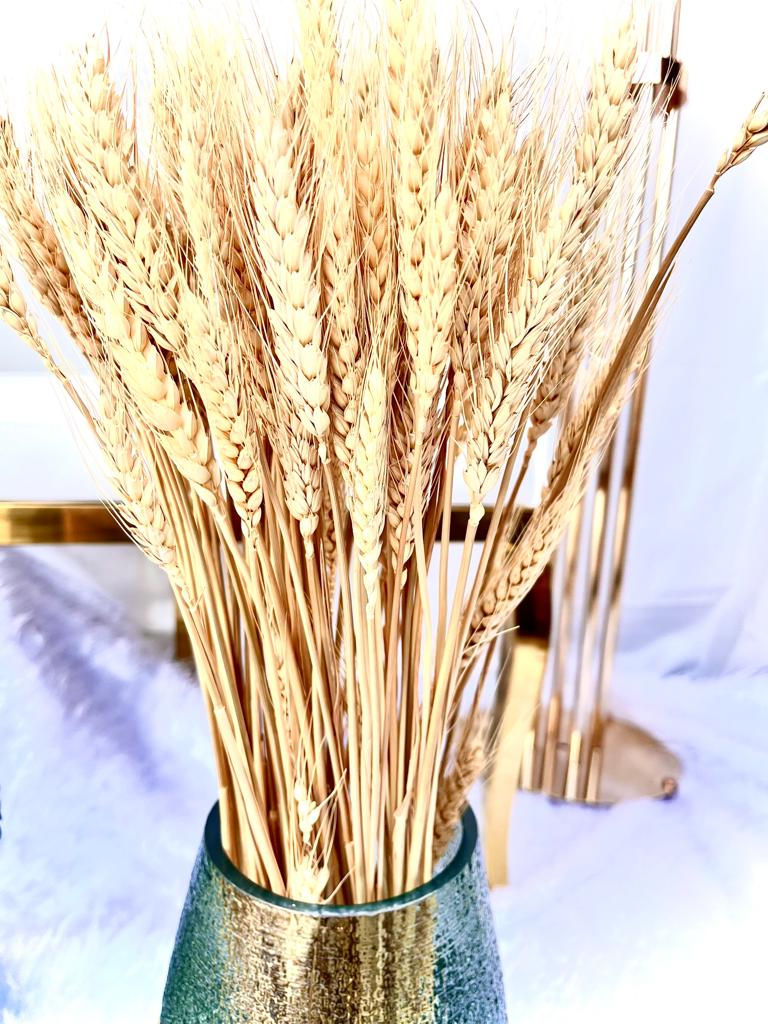Thumbnail: Natural Dried Golden Wheat Stalks