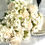 Thumbnail: White Flowers