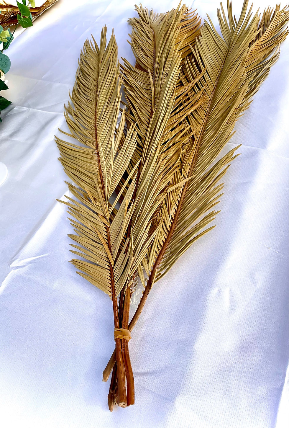 Thumbnail: Long dried palms