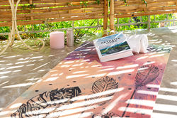 53 - Lis amelié HD - E74A0382