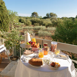 64 - Lis amelié HD - 0X3A6947