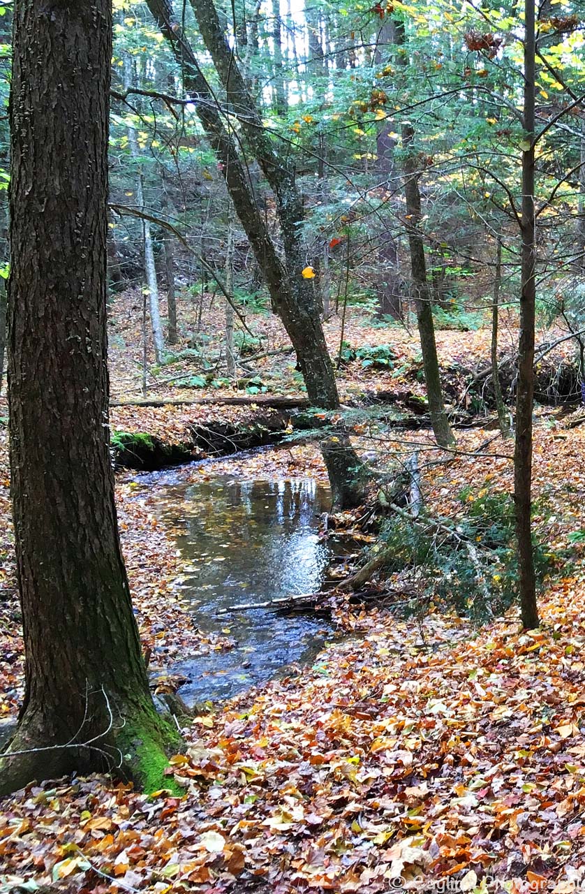How Mindfulness And Storytelling Help >> Learning through taking risks... | Forest Schooled How Mindfulness And Storytelling Help >> Learning through taking risks... | Forest Schooled