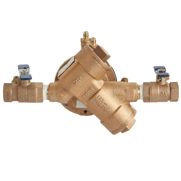 RP backflow preventer.webp