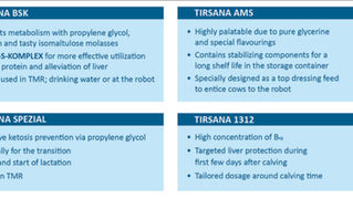 Årets store snakkis - flytende ketoseforebygging.