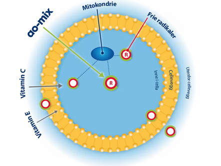 Forbruksvarer lanserer innovasjon.