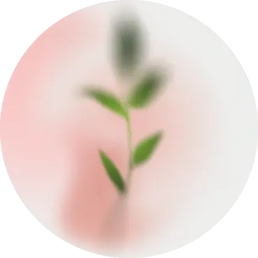 Bulle_feuille.webp