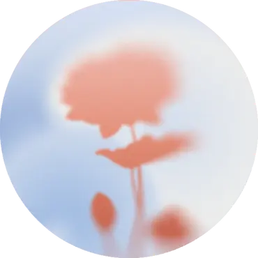 Bulle_nenuphare_2.webp