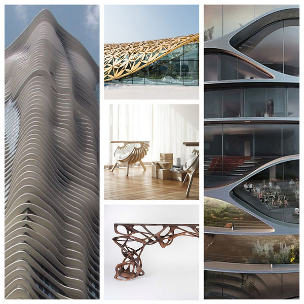 Biomorphic Design (1).jpg