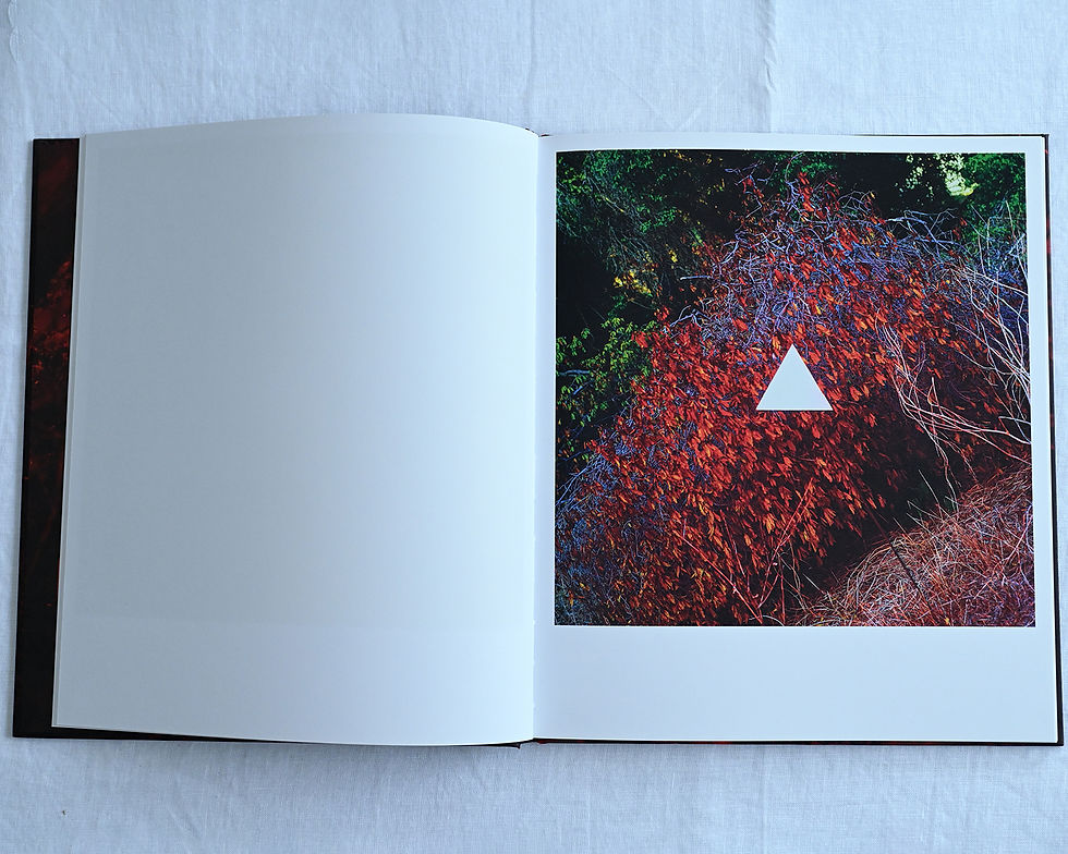 アート・デザイン・音楽 JOHN DIVOLA CHROMA John Divola — Chroma - YouTube