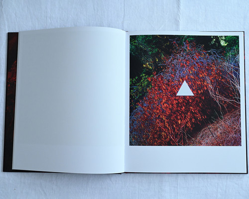 アート・デザイン・音楽 JOHN DIVOLA CHROMA WEB_CHROMA_DIVOLA.jpg