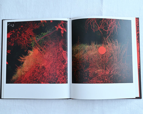 John Divola / CHROMA | CYRO