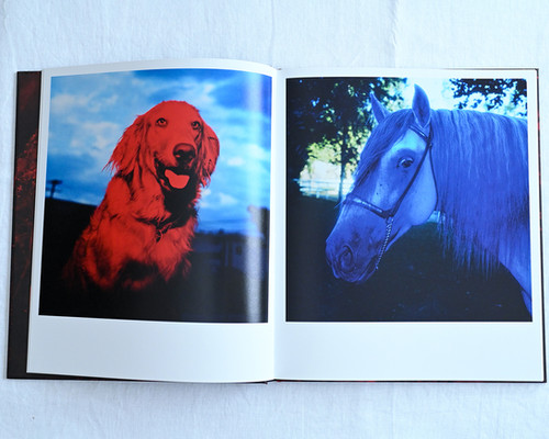 John Divola / CHROMA | CYRO