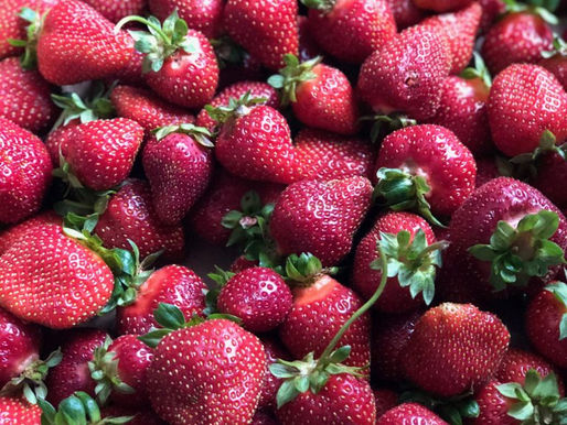 Strawberry Season & Mixed Berry Cobbler