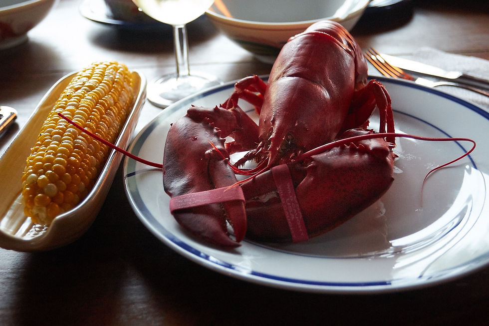 Maine Lobster