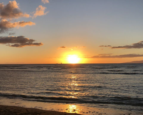 Back From Maui Wowie