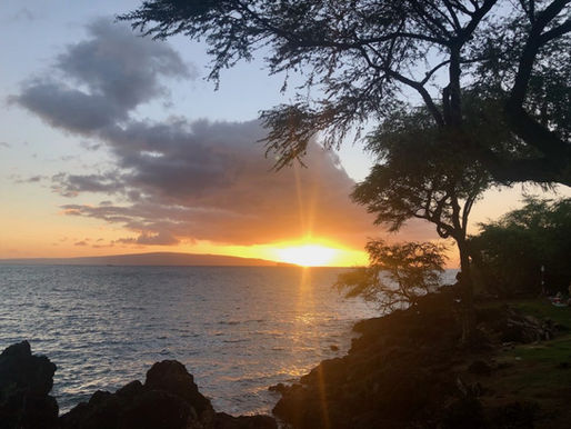 Highlights Of My Last Trip To Maui