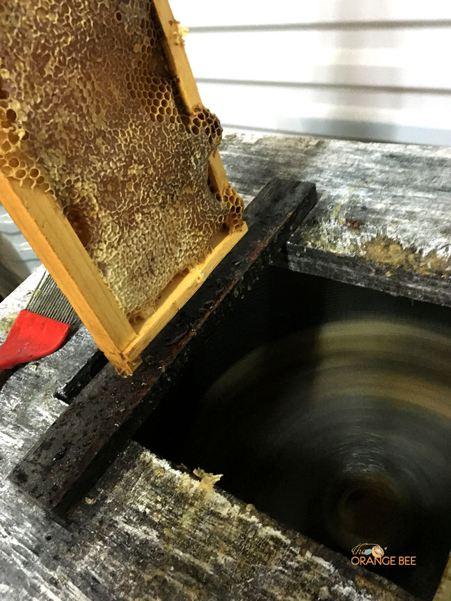 Wax Capping Extractor