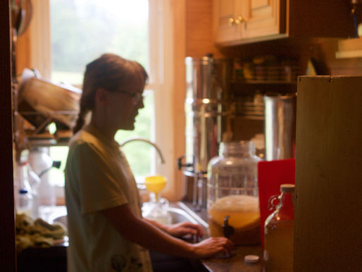 Making Kombucha In My Own Kitchen