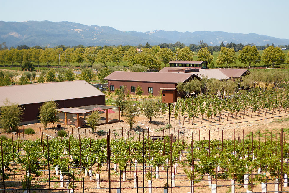 B Cellars
