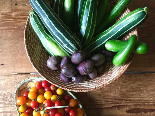 Healthy Summer Stuffed Zucchini