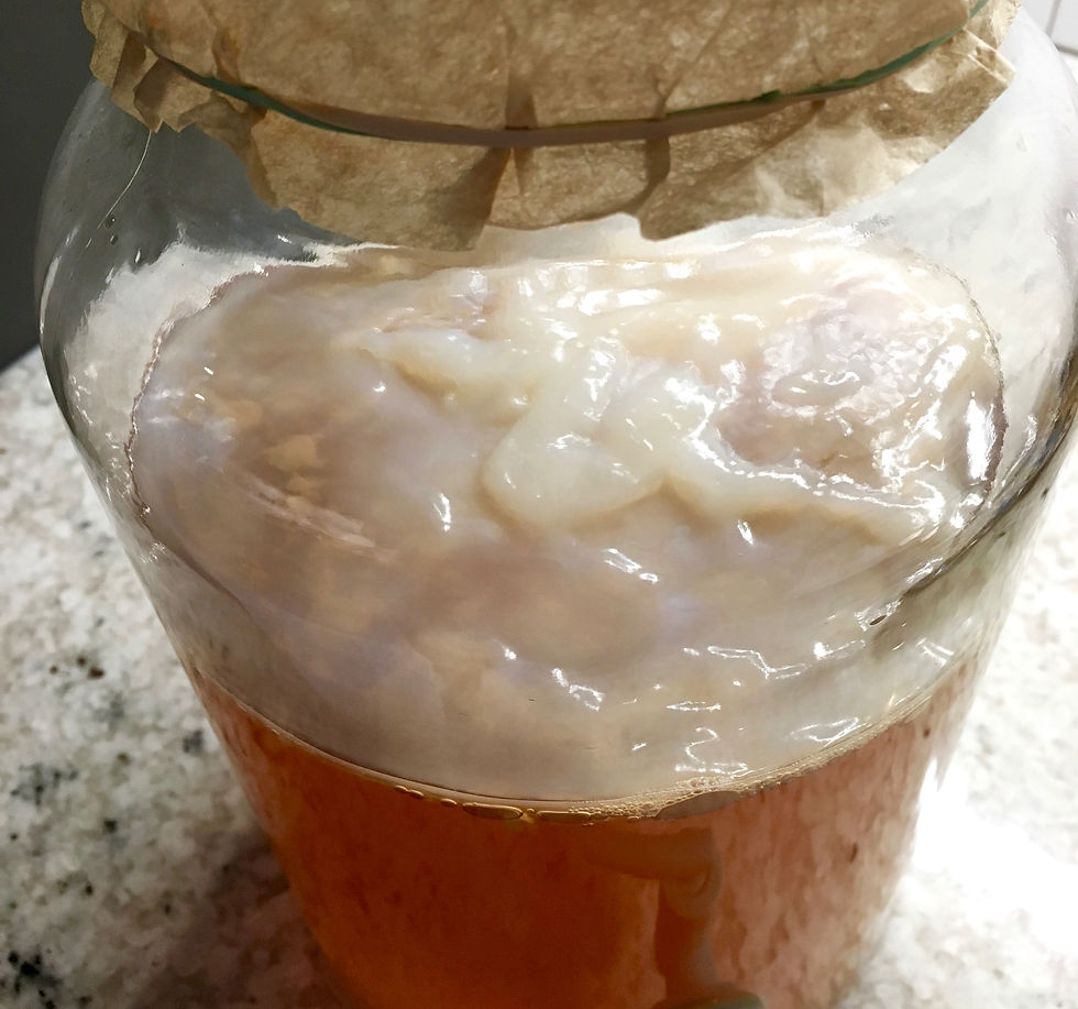 Kombucha